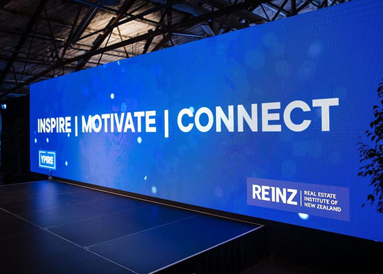 SMD2020 Chip Indoor Rental Led Screen pour des annonces montrent le concert d'exposition